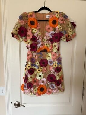 ELLIATT Rosalind Dress Floral Embroidered Puff-Sleeve Mini Dress in Multi Floral